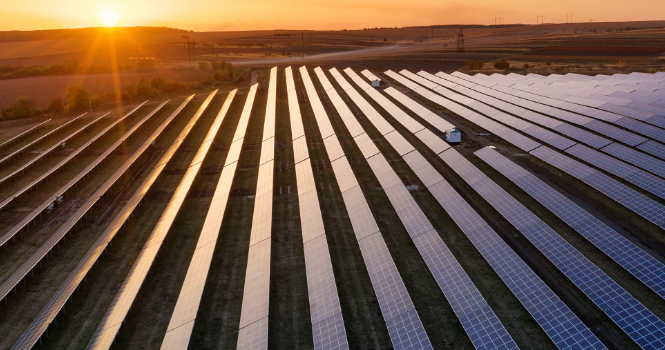 A melhor experiência em Energia Solar para investidores